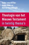 Theologie van het Nieuwe Testament - Armin Baum ; Rob van Houwelingen - 9789023955931