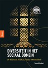 Diversiteit in het sociaal domein - Youssef Azghari - 9789024402038