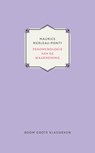 Fenomenologie van de waarneming - Maurice Merleau-Ponty - 9789024415878