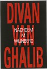 Divan van Ghalib - Nachoem M. Wijnberg - 9789025432331