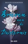 Brieven aan de duisternis - Brigid Kemmerer - 9789025873004