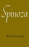 Briefwisseling - Benedictus de Spinoza ; Fokke Akkerman - 9789028415973