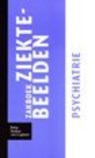 Zakboek ziektebeelden Psychiatrie -  - 9789031364664