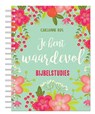 Je bent waardevol - Carianne Ros - 9789033801266