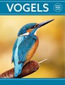 Rebo mini guide - Vogels - Dan Brown - 9789036637947