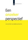 Een onzeker perspectief: vooruitzichten van tijdelijke werknemers - Jan Dirk Vlasblom ; Edith Josten - 9789037706833