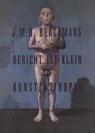 Bericht uit klein Konstantinopel - J.M.H. Berckmans - 9789038897455
