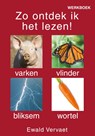 Zo ontdek ik het lezen 2 Werkboek - Ewald Vervaet - 9789038926193