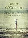 Figuur op een foto en De Wexford girl - Joseph O'Connor - 9789041424549