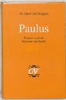 Paulus - Jakob van Bruggen - 9789043503303