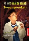 De twee spreuken - Peter Vervloed - 9789043704700
