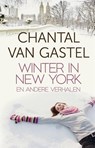 Winter in New York en andere verhalen - Chantal van Gastel - 9789044359602