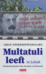 Multatuli leeft in Lebak - Arjan Onderdenwijngaard - 9789044543742