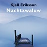 Nachtzwaluw - Kjell Eriksson - 9789044550894