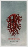 Monster - Roderik Six - 9789044647419