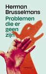 Problemen die er geen zijn - Herman Brusselmans - 9789044650297