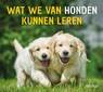 Wat we van honden kunnen leren - Cynthia-L. COPELAND - 9789044751055