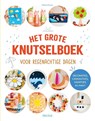 Het grote knutselboek voor regenachtige dagen - Maeva Gruaz - 9789044764505