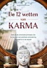 De 12 wetten van Karma - Sandy Hinzelin - 9789044764673