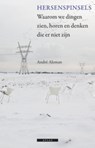 Hersenspinsels - André Aleman - 9789045017266