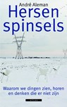 Hersenspinsels - André Aleman - 9789045019642