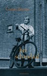 Het schandaal - Conny Braam - 9789045702254