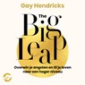 The Big Leap - Gay Hendricks - 9789046177655