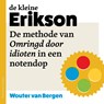 De kleine Erikson - Wouter van Bergen - 9789047018780