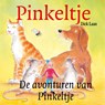 De avonturen van Pinkeltje - Dick Laan - 9789047507024