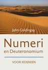 Numeri en Deuteronomium voor iedereen - John Goldingay - 9789051945041