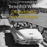 De waarheid over het liegen - Benedict Wells - 9789052866161