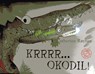 Krrrr okodil! - Catherine Rayner - 9789053419779