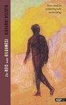 De reis van Gilgamesj - Giovanni Rizzuto - 9789054878599