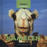 Kamelen - Judith Jango-Cohen - 9789054958444