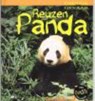 Reuzenpanda - Rod Theodorou - 9789055661084
