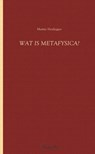 Wat is metafysica? - M. Heidegger - 9789055739325