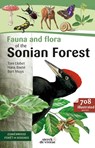 Fauna and Flora of the Sonian forest - Bart Muys ; Toni Llobet ; Hans Baeté - 9789056156862
