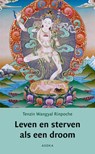 Leven en sterven als een droom - Tenzin Wangyal Rinpoche - 9789056703172