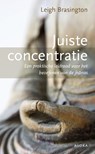 Juiste concentratie - Leigh Brasington - 9789056704209