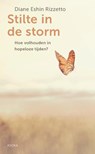 Stilte in de storm - Diane Rizzetto - 9789056704384