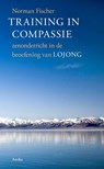 Training in compassie - Zoketsu Norman Fischer - 9789056704421