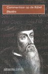 De brief van Paulus aan De Efeziërs - Johannes Calvijn - 9789057191084