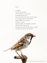 Plint Poezieposter 'Dectie' Hans Hagen -  - 9789059306004