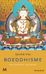 Boeddhisme - Sjoerd de Vries - 9789059900431