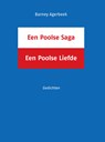 Een Poolse Saga, een Poolse Liefde - Barney Agerbeek - 9789062657650