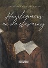 Haarlemmers en de slavernij - Ineke Mok ; Dineke Stam - 9789062659234