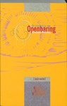 De boodschap van Openbaring - M. Wilcock - 9789063183127