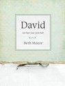 David Werkboek - Beth Moore - 9789063537197