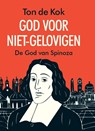 God voor niet-gelovigen - Ton de Kok - 9789068687538