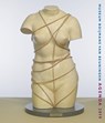 Het lichaam verbeeld -  - 9789069183053